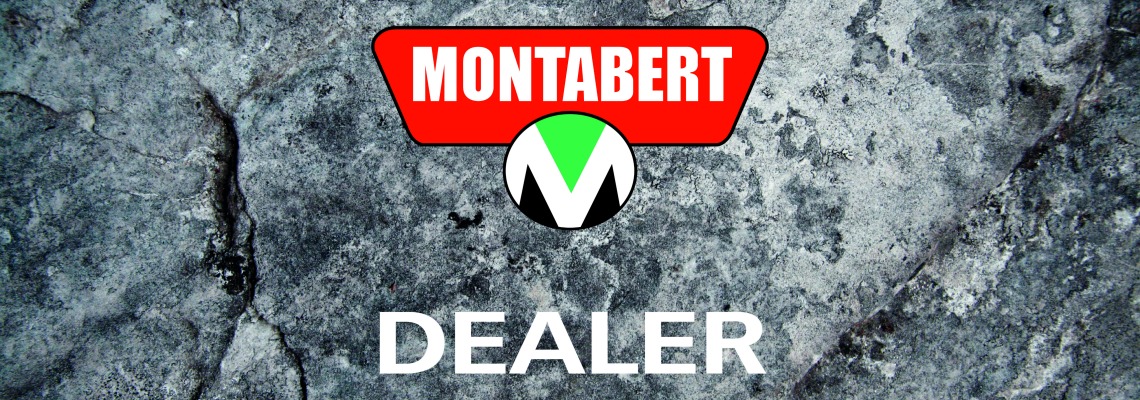 Default Dealer English